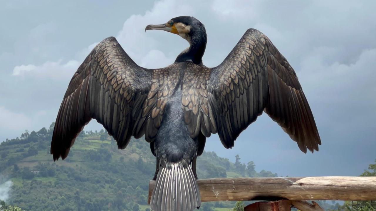 Lake Bunyonyi Rock Resort Kabale Eksteriør bilde