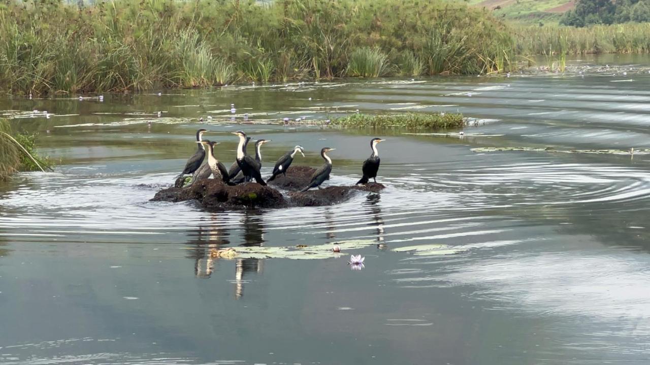 Lake Bunyonyi Rock Resort Kabale Eksteriør bilde
